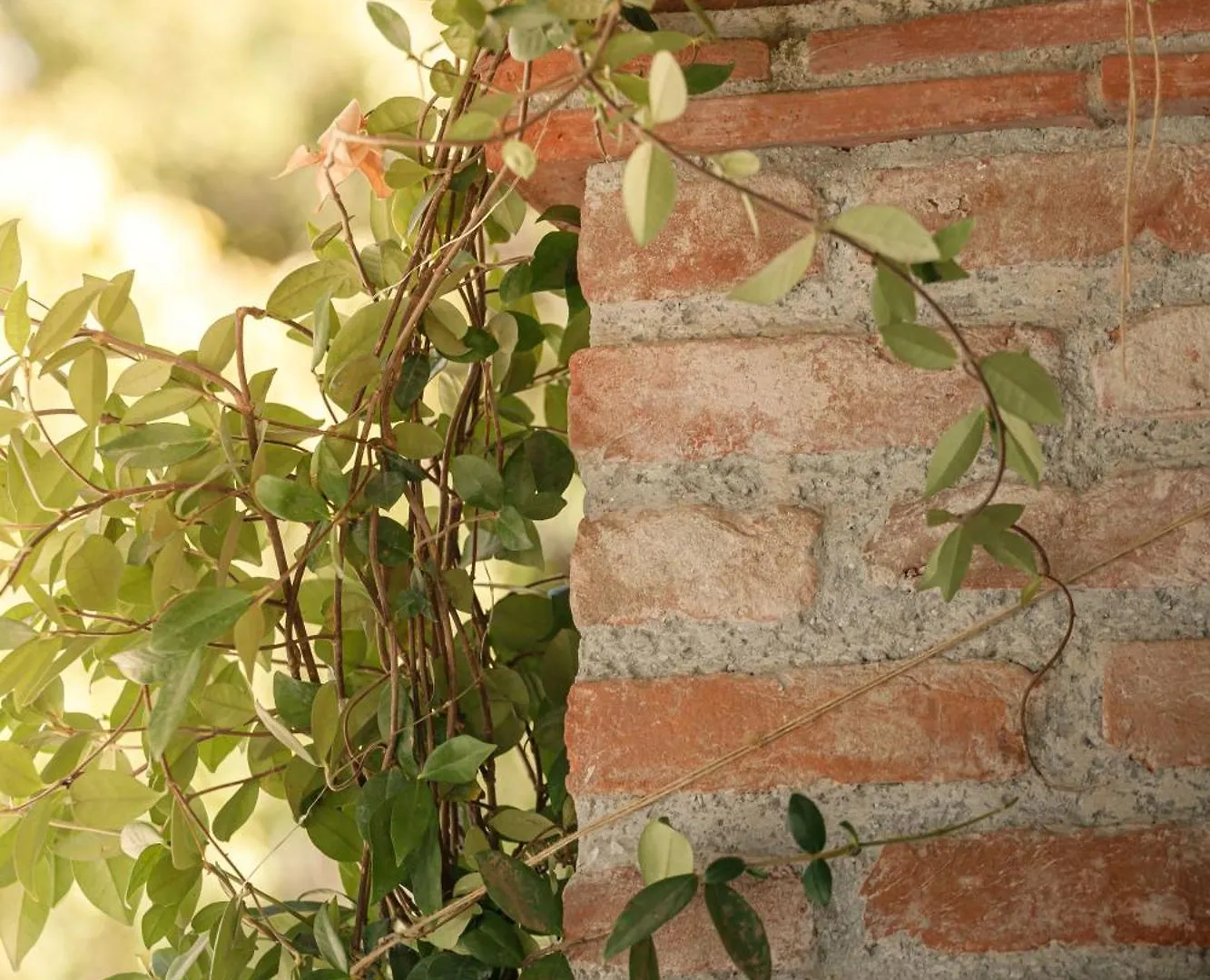 Il Mulino Di Nonna Sa - Prestige Private Villa Pietrasanta Apartment